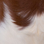 Futro pony hair vintage lata 70-te M